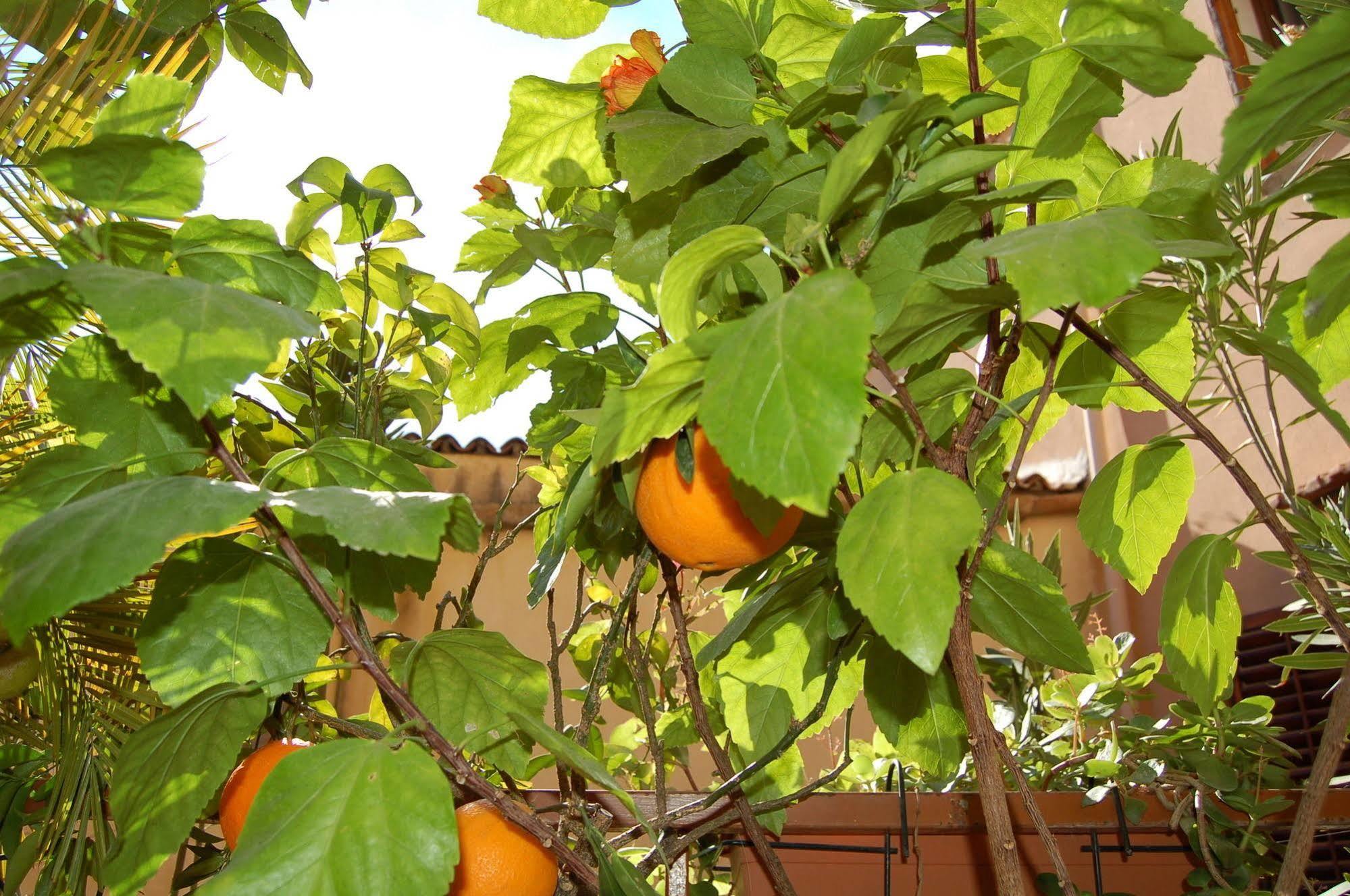 Al Vicoletto Apartamento Agrigento Exterior foto